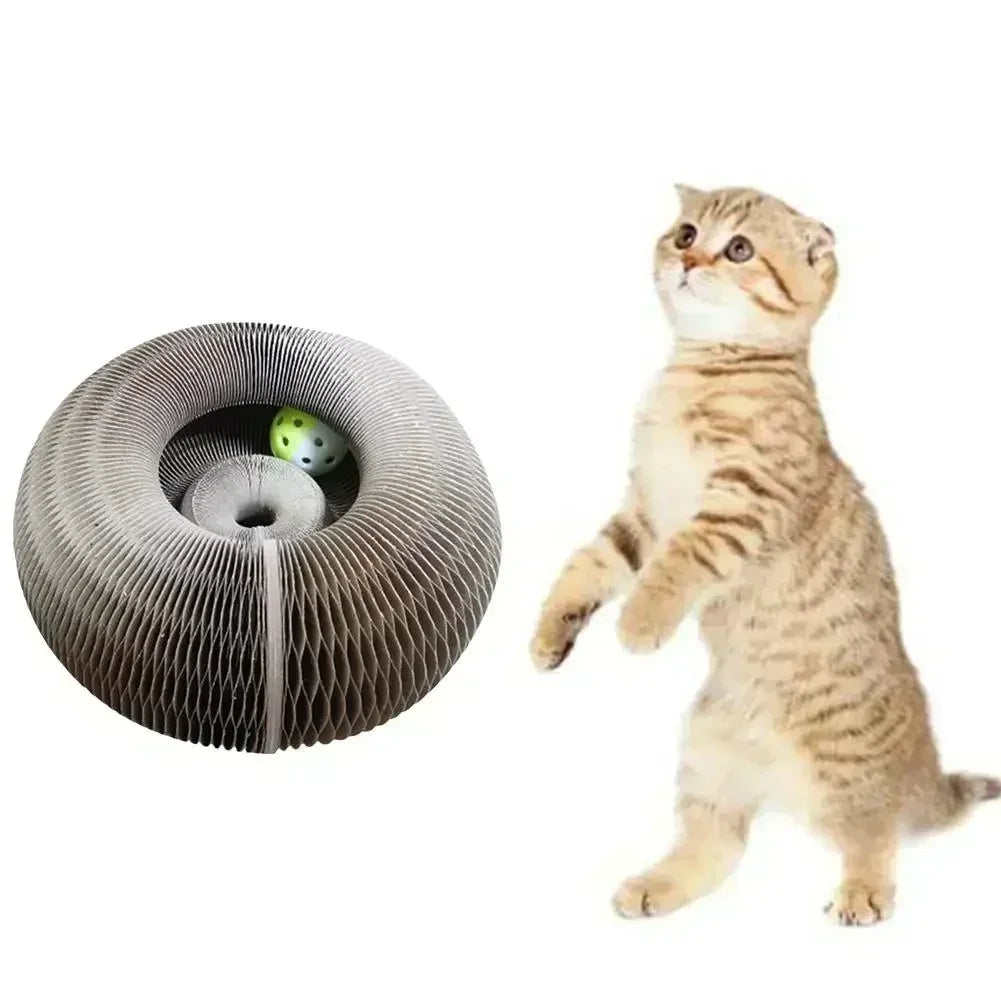 Foldable Scratching Board