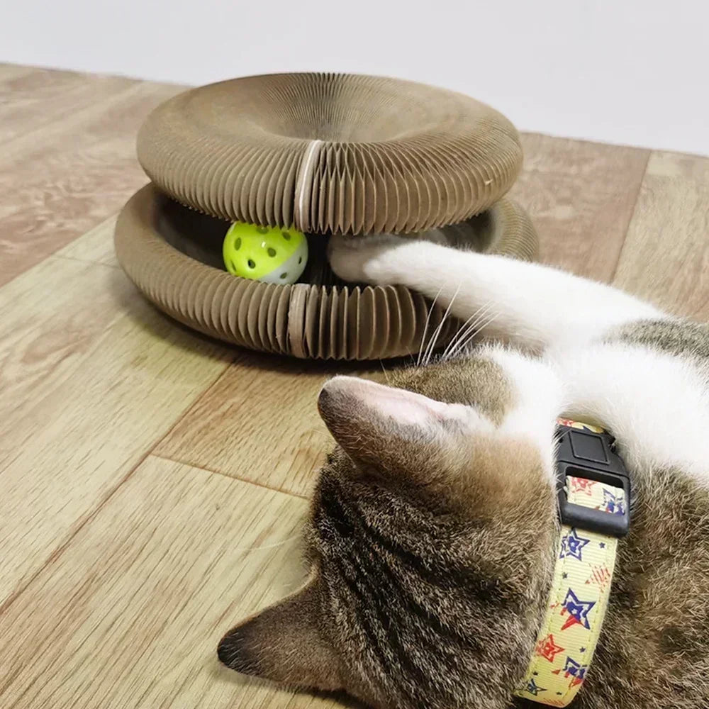 Foldable Scratching Board
