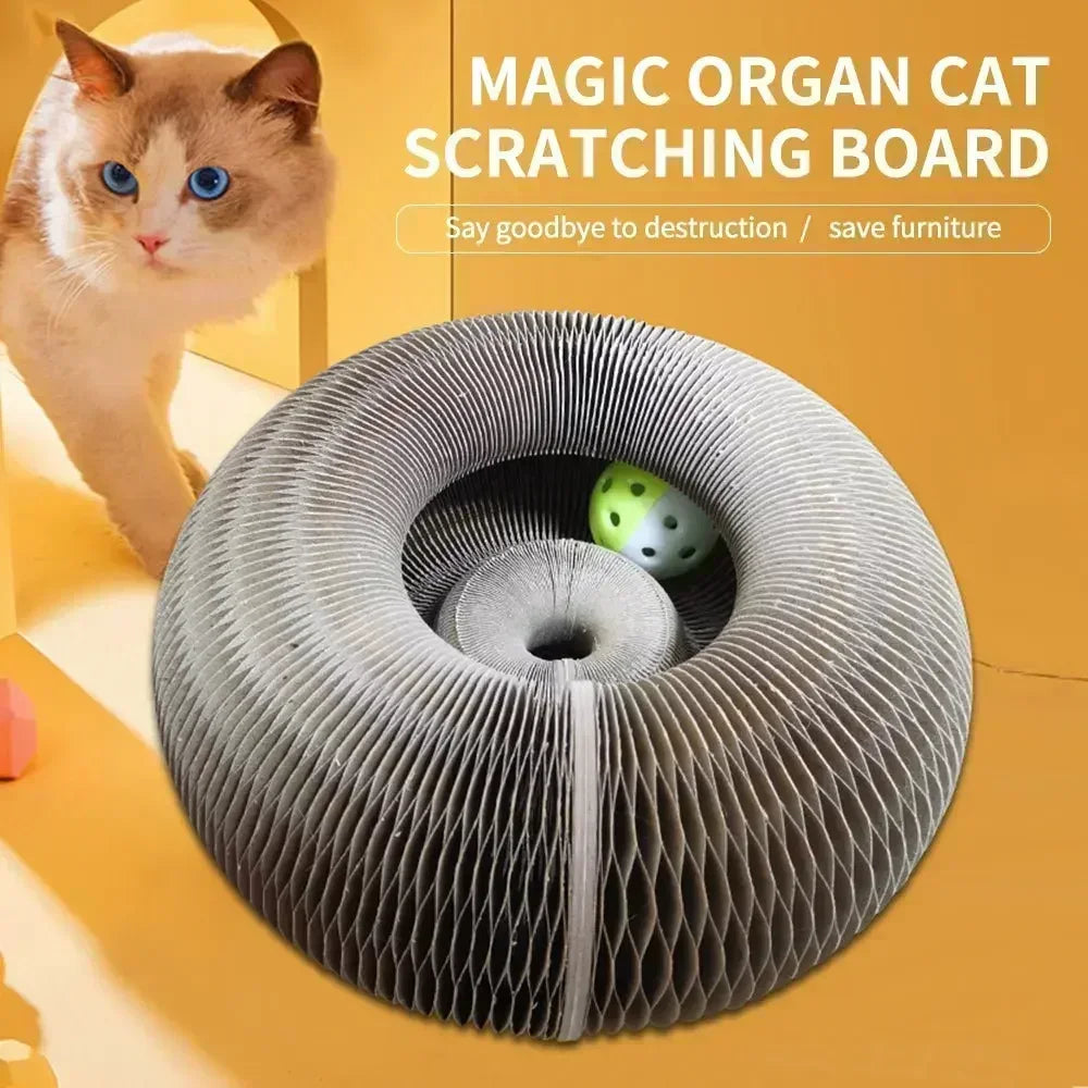 Foldable Scratching Board