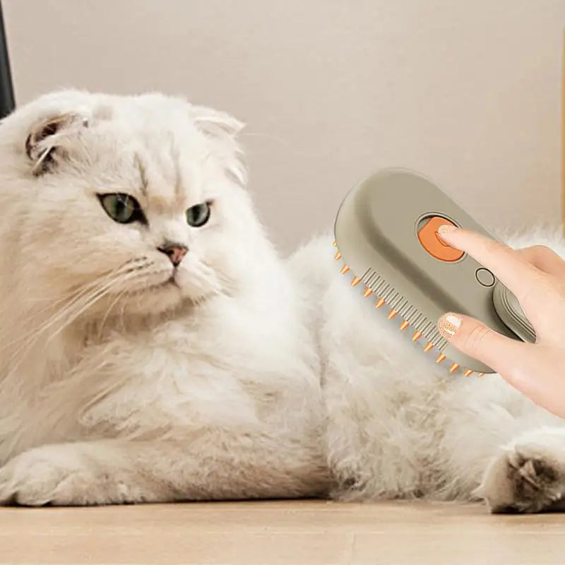Steam Brush