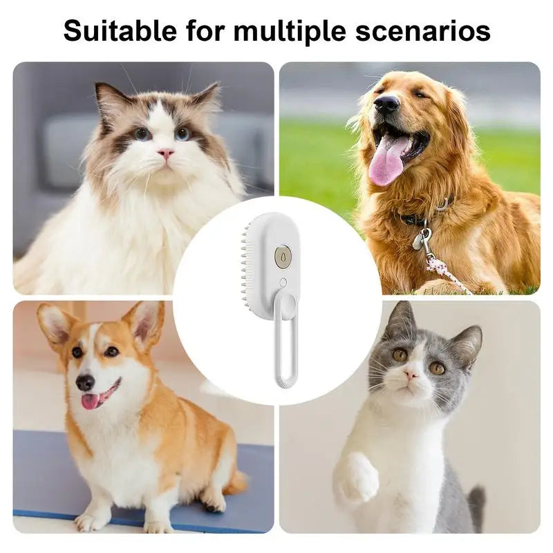 Steam Brush