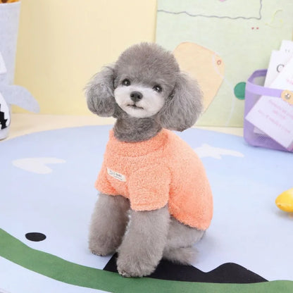 Plush Winter for Dogs