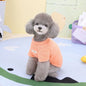 Plush Winter for Dogs