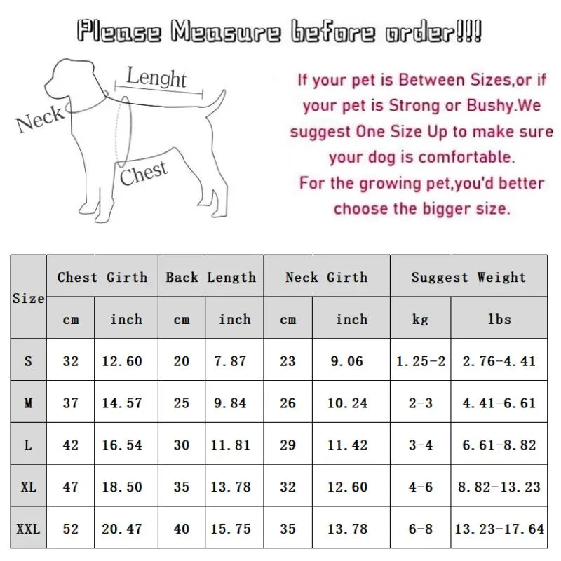 Plush Winter for Dogs
