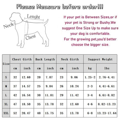 Plush Winter for Dogs