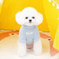 Plush Winter for Dogs