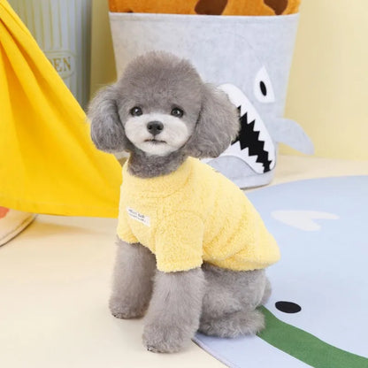 Plush Winter for Dogs