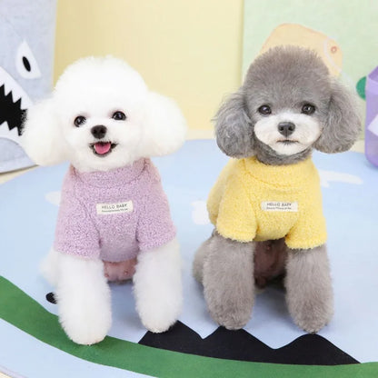 Plush Winter for Dogs