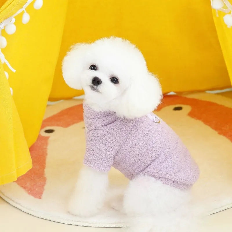Plush Winter for Dogs