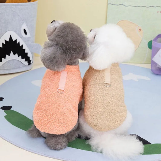 Plush Winter for Dogs